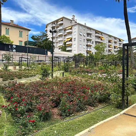Modern Center Near Palaisfestival * Cannes